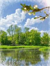 Весна пришла!