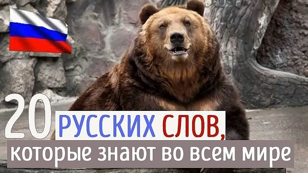 Русские слова, известные во всем  мире!