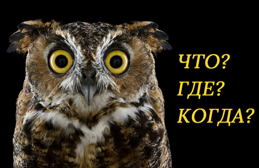 Вопросы, на которые знатоки 