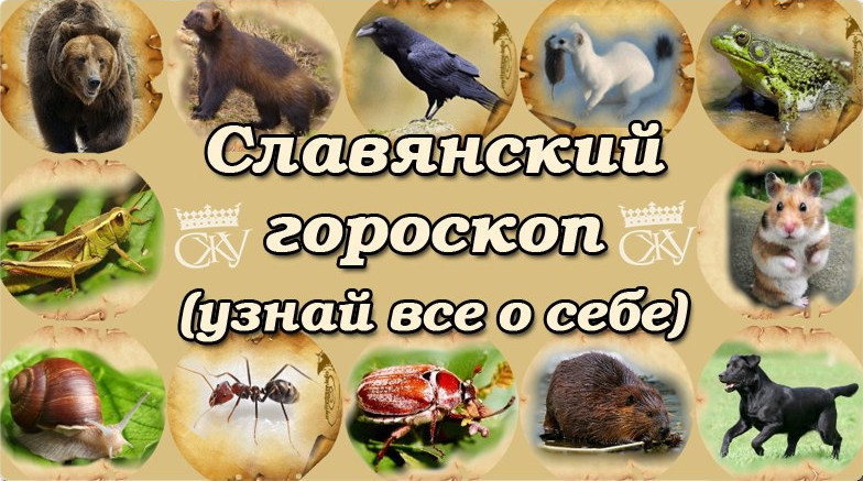 Славянский звериный гороскоп по дате рождения