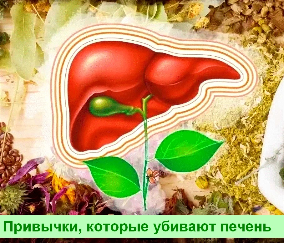 Три полезные привычки, которые убивают печень