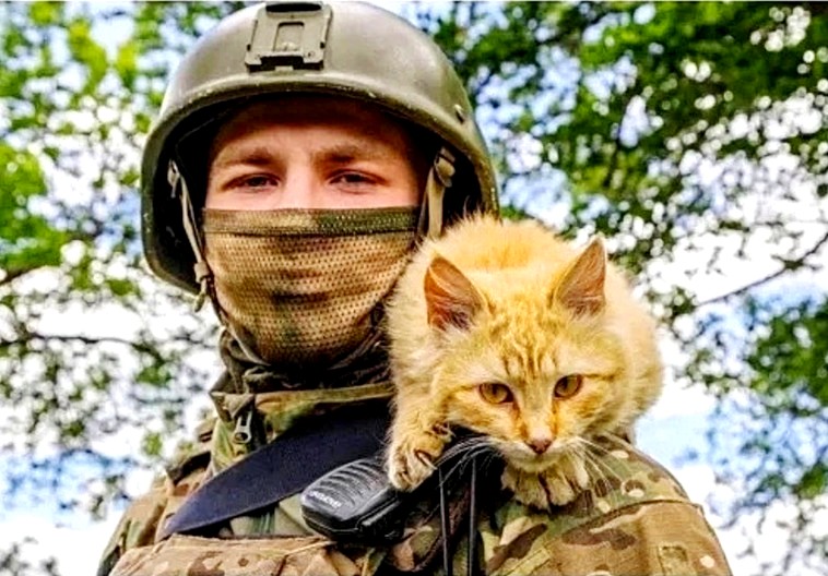 Девятая жизнь. Михаил Афонин